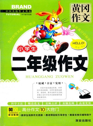 小學生二年級作文