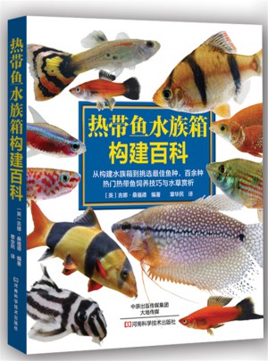 熱帶魚水族箱構建百科