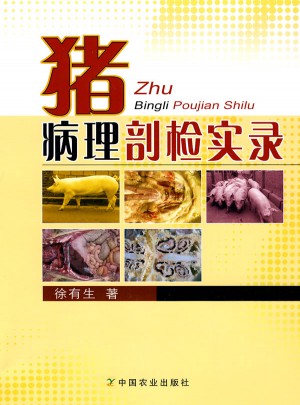 豬病理剖檢實錄