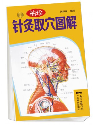 袖珍針灸取穴圖解