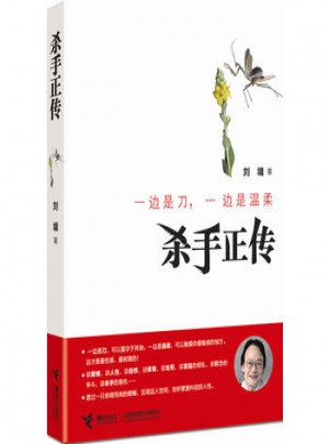 殺手正傳