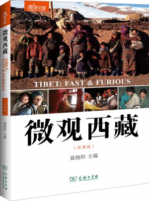 微觀西藏(漢英版)
