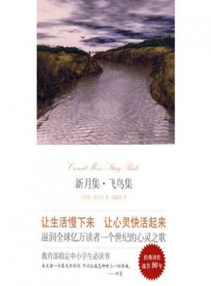 新月集·飛鳥集（精裝）