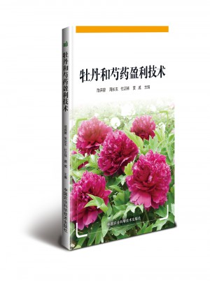牡丹和芍藥盈利技術