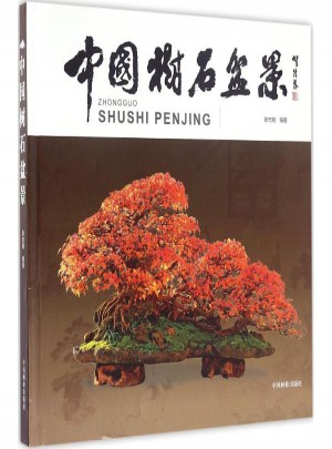 中國樹石盆景