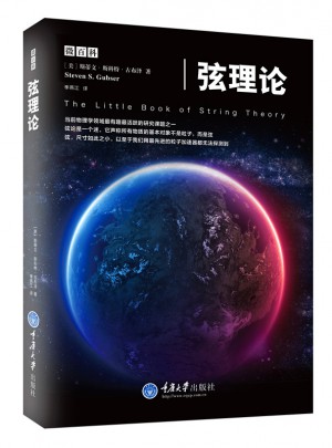 弦理論