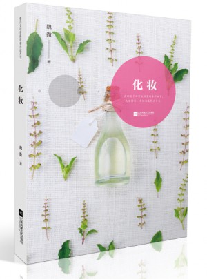 魯迅文學獎獲獎者小說叢書·化妝