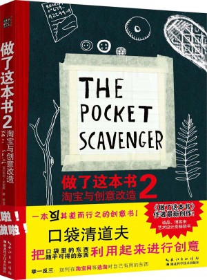 做了這本書(shū)2：淘寶與創(chuàng)意改造