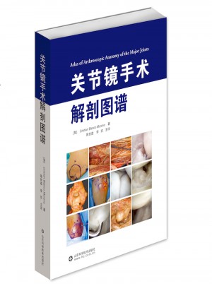 關節鏡手術解剖圖譜