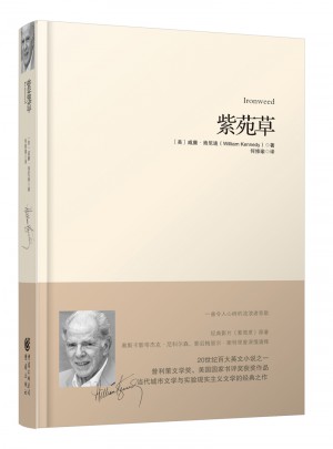 重現(xiàn)經(jīng)典：紫苑草