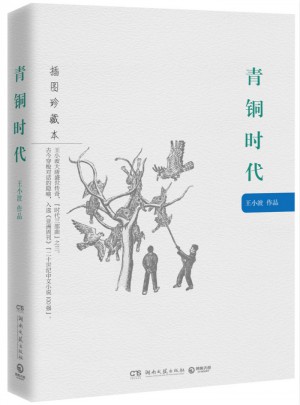 青銅時代：王小波作品（插圖珍藏本）