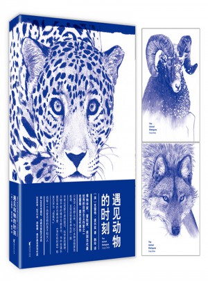 遇見動(dòng)物的時(shí)刻