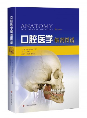 口腔醫(yī)學(xué)解剖圖譜