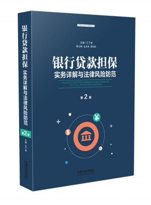銀行貸款擔(dān)保實(shí)務(wù)詳解與法律風(fēng)險(xiǎn)防范（第二版）