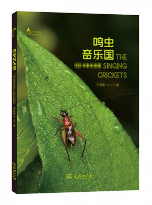 鳴蟲音樂國(自然觀察叢書)