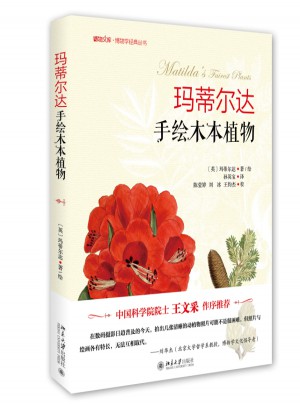瑪蒂爾達手繪木本植物