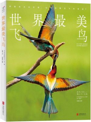 世界最美飛鳥