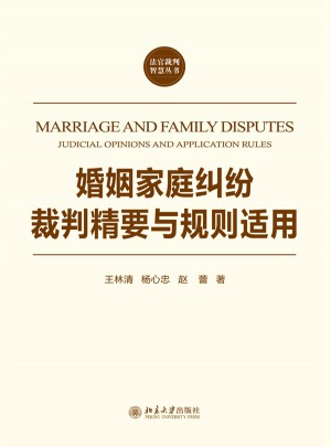 婚姻家庭糾紛裁判精要與規則適用