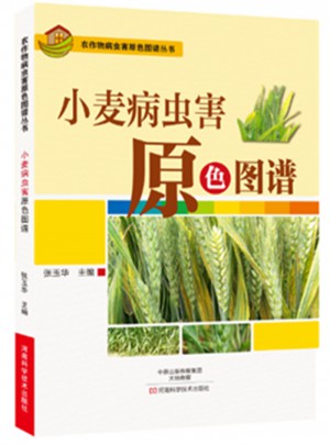 小麥病蟲害原色圖譜