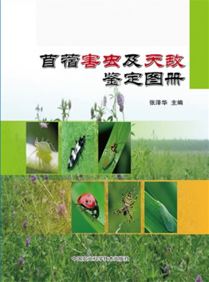苜蓿害蟲及天敵鑒定圖冊