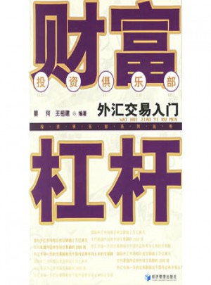 財富杠桿：外匯交易入門