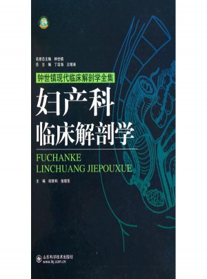 婦產(chǎn)科臨床解剖學(xué)