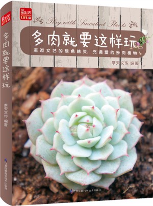 多肉就要這樣玩
