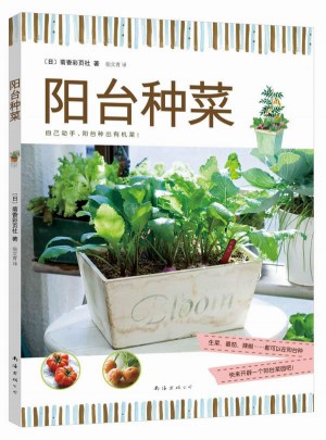 陽臺種菜
