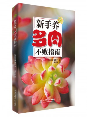 新手養多肉不敗指南