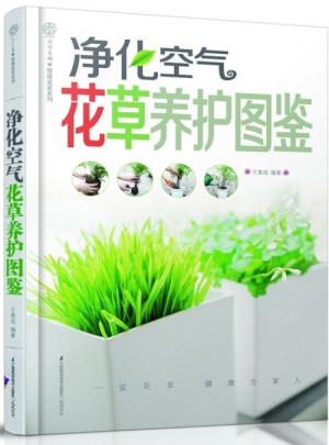 凈化空氣花草養護圖鑒（漢竹）