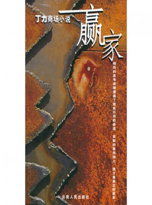 丁力商場(chǎng)小說(shuō)：贏家