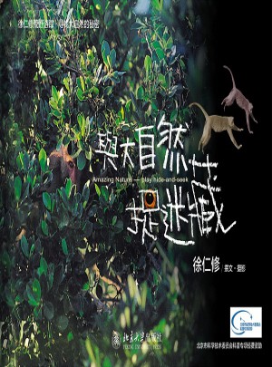 與大自然捉迷藏