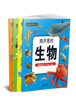DIY創意粘土教程(共4冊)