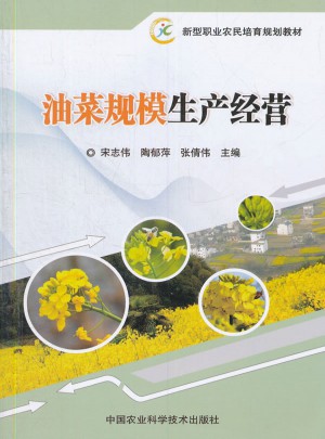 油菜規模生產經營