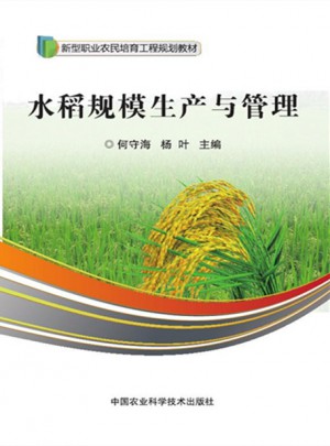 水稻規模生產與管理