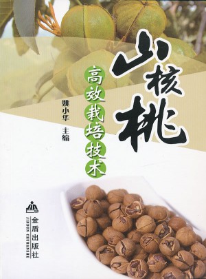 山核桃高效栽培技術(shù)