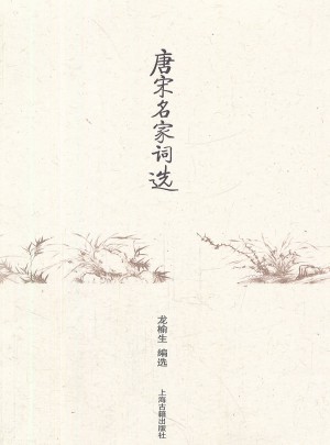 唐宋名家詞選