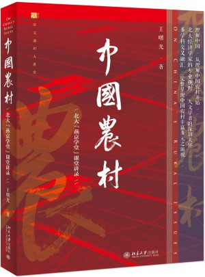 中國農村：北大燕京學堂課堂講錄