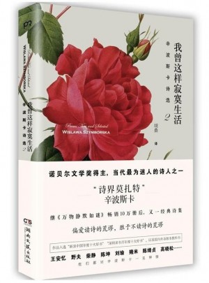 我曾這樣寂寞生活