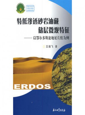 特低滲透砂巖油藏儲層微觀特征：以鄂爾多斯盆地延長組為例