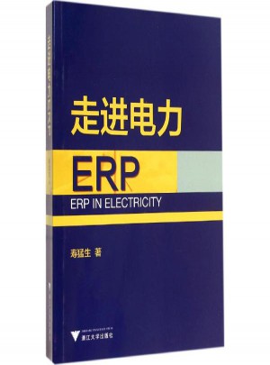走進電力ERP