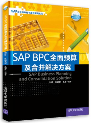 SAP BPC預算及合并解決方案