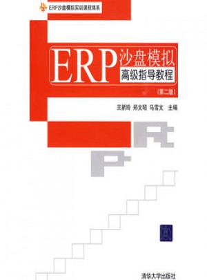 ERP沙盤模擬高級指導教程(第2版)