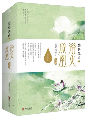 盛世江山之浴火成凰（完結篇）（上中下）