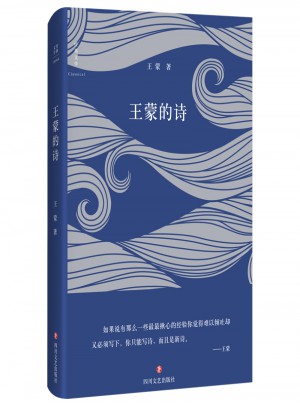 王蒙的詩