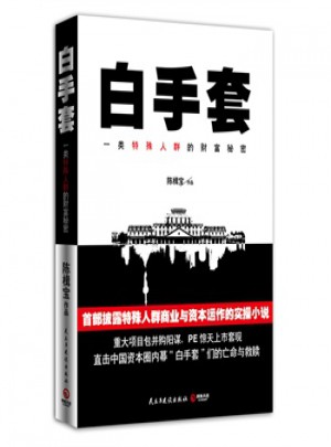白手套:一類特殊人群的財富秘密