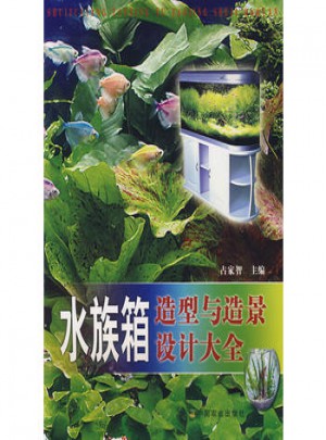 水族箱造型與造景設計大全