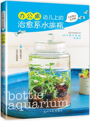 辦公桌邊兒上的治愈系水族瓶