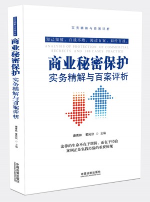 商業(yè)秘密保護(hù)實(shí)務(wù)精解與百案評析（第2版）