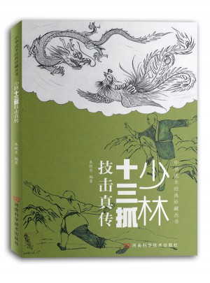 少林十三抓技擊真?zhèn)? />
								</div>
								<div   id=